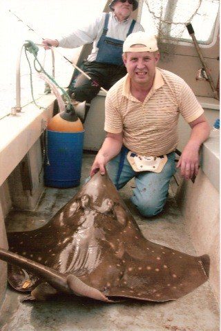 Common Skate