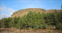 Úlfarsfell