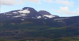 Kaldbakur