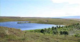 Kaldbakslaug