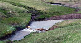 Reykjadalur Hot River