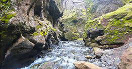 Nauthúsagil