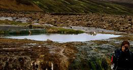 Strútslaug