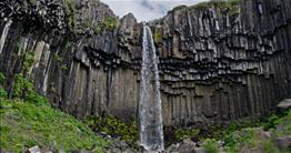 Svartifoss
