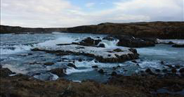 Urriðafoss