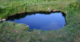 Galtahryggjarlaug