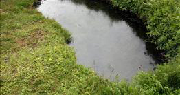 Kúalaug