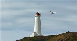 Reykjanesviti