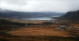 Berufjörður