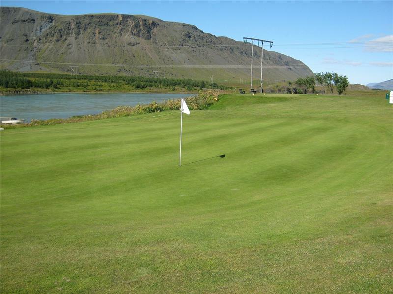 Svarfhólsvöllur