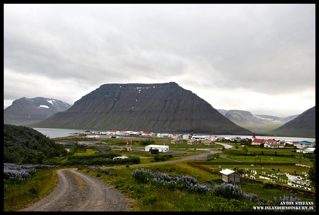 Þorfinnur