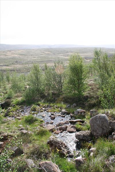 Krosslaug (Reykjalaug)