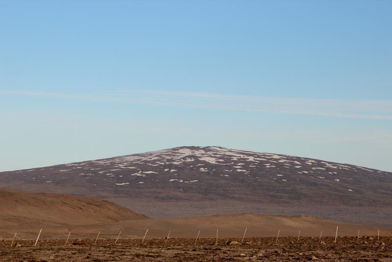 Skjaldbreiður