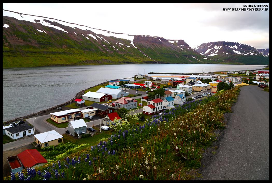 Suðureyri